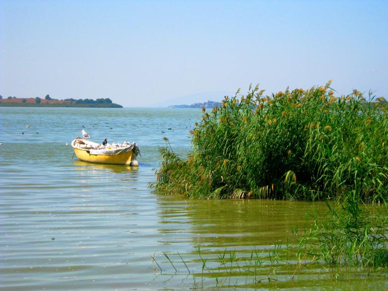 Free stock image of Boat in the Sea created by mrceviz