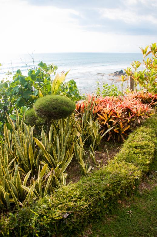 Free stock image of Beautiful gardens by the sea created by Luka
