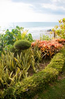 Free Stock Photo of Beautiful gardens by the sea