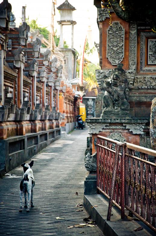 Free stock image of Temple in Bali created by Luka