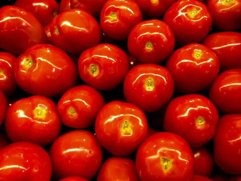 Free stock image of Healthy Tomatoes created by Julieta Nuñez Chapa