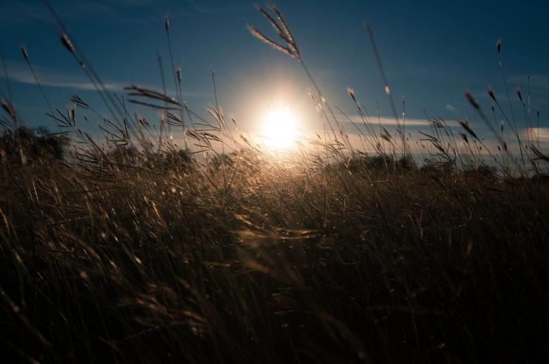 Free stock image of Sunset created by Diego Reynoso