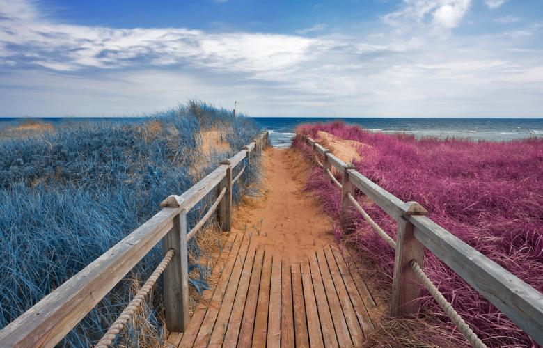 Free stock image of Split Tone Beach Boardwalk - Blue & Pink created by Nicolas Raymond