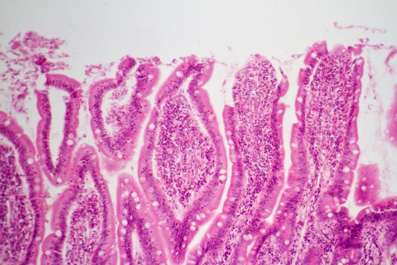 Free stock image of Skin cells created by Geoffrey Whiteway