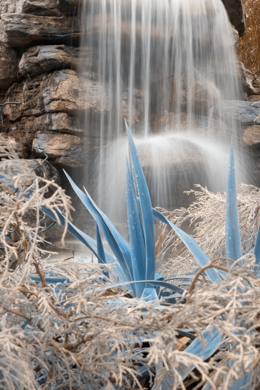 Free stock image of Wintry Blue Waterfall Foliage - HDR created by Nicolas Raymond