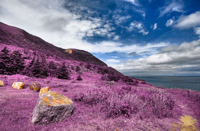 Free stock image of Cabot Trail Coastal Scenery - HDR created by Nicolas Raymond
