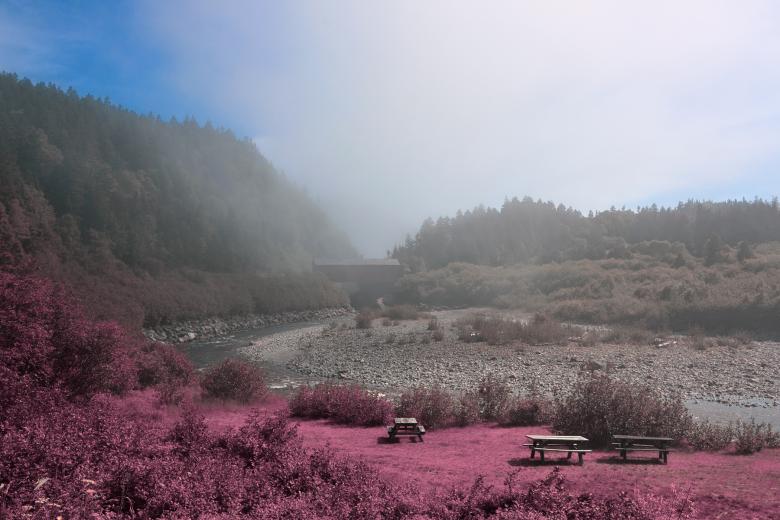 Free stock image of Fundy Park Scenery - Pink HDR created by Nicolas Raymond