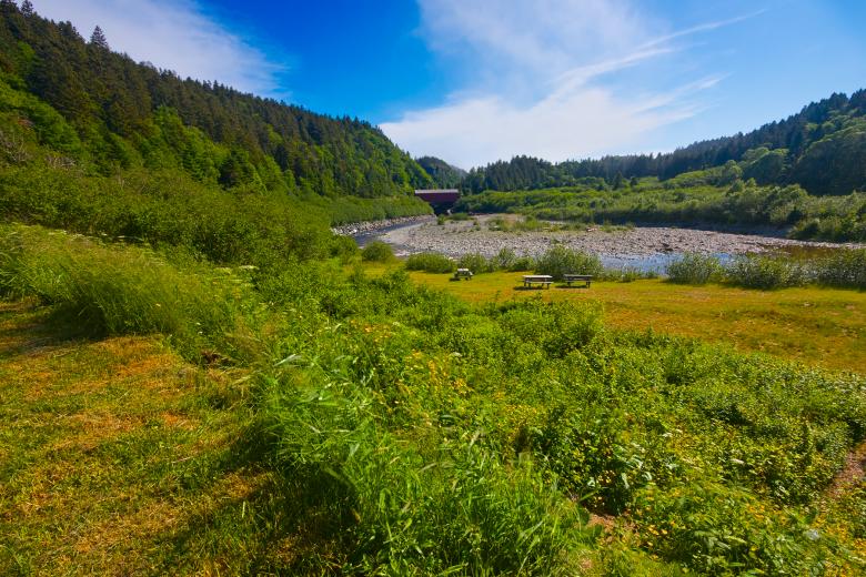 Free stock image of Fundy Park Scenery - HDR created by Nicolas Raymond