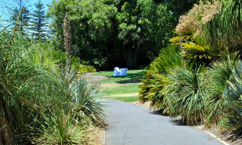 Free stock image of Green Garden created by Robert Priest