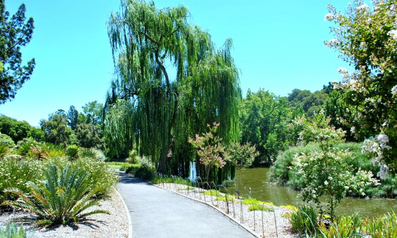 Free stock image of Green Garden created by Robert Priest