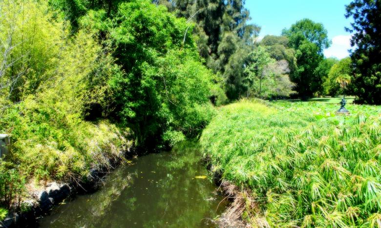 Free stock image of Green Garden created by Robert Priest