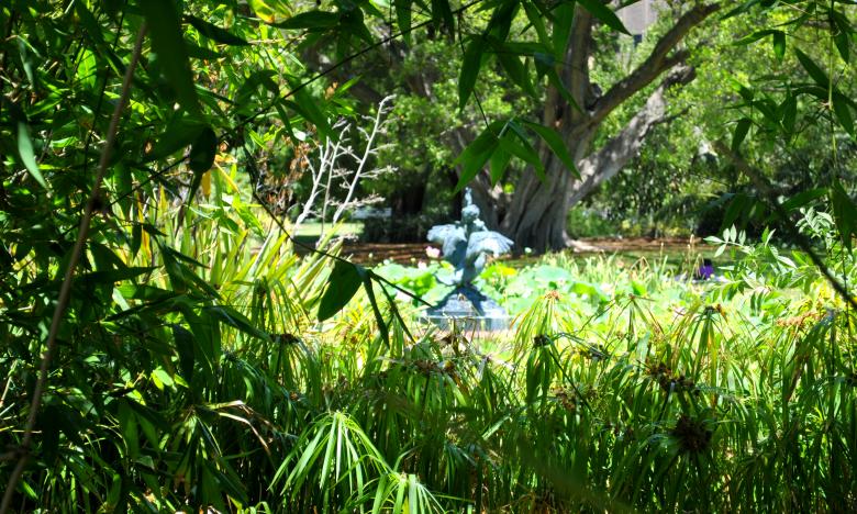 Free stock image of Green Garden created by Robert Priest