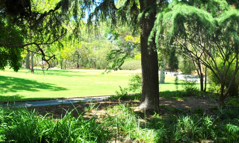 Free stock image of Green Garden created by Robert Priest