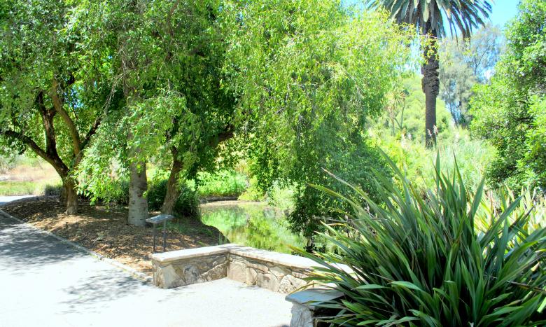 Free stock image of Green Garden created by Robert Priest