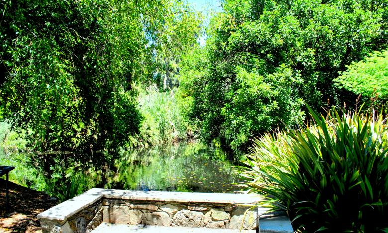 Free stock image of Green Garden created by Robert Priest