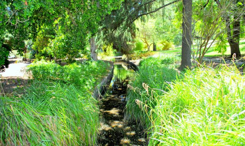 Free stock image of Green Garden created by Robert Priest