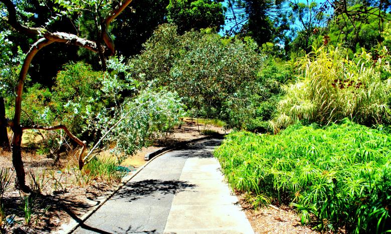 Free stock image of Green Garden created by Robert Priest