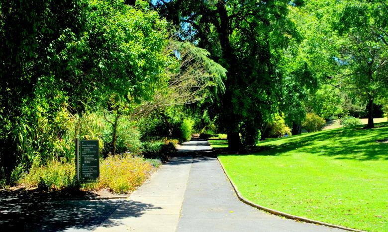 Free stock image of Green Garden created by Robert Priest