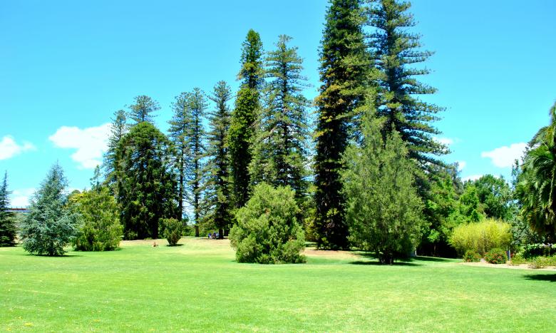 Free stock image of Green Garden created by Robert Priest