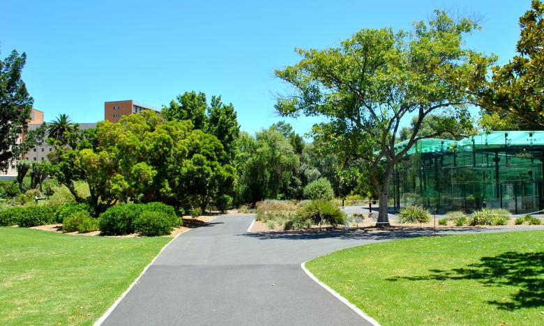 Free stock image of Green Garden created by Robert Priest