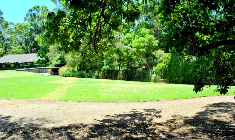 Free stock image of Green Garden created by Robert Priest