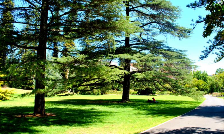 Free stock image of Green Garden created by Robert Priest