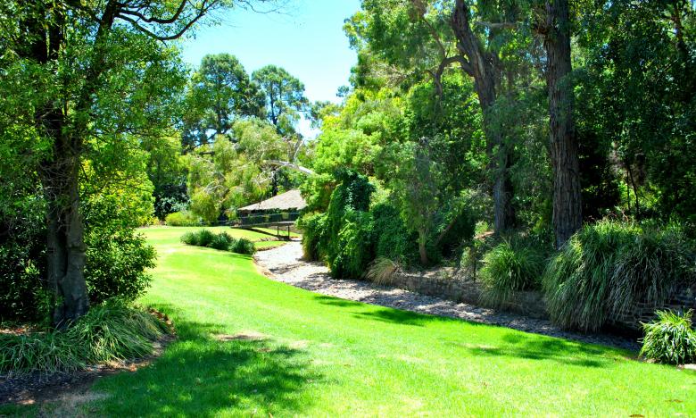 Free stock image of Green Garden created by Robert Priest