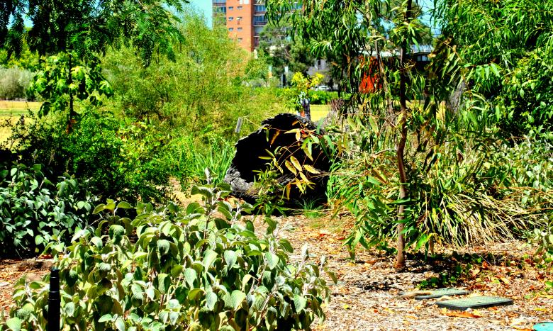 Free stock image of Green Garden created by Robert Priest