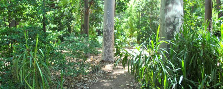 Free stock image of Green Garden created by Robert Priest