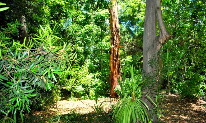 Free stock image of Green Garden created by Robert Priest