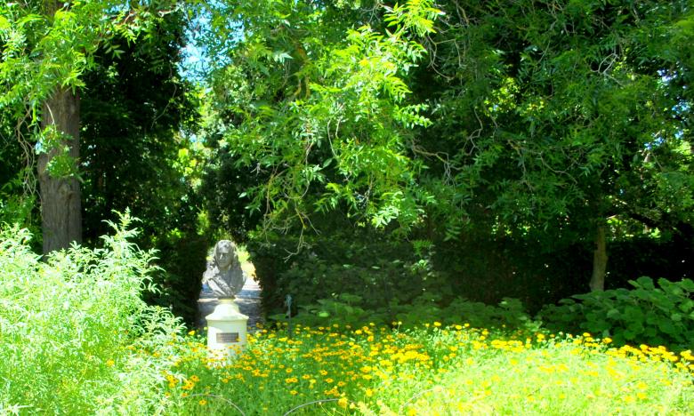 Free stock image of Green Garden created by Robert Priest