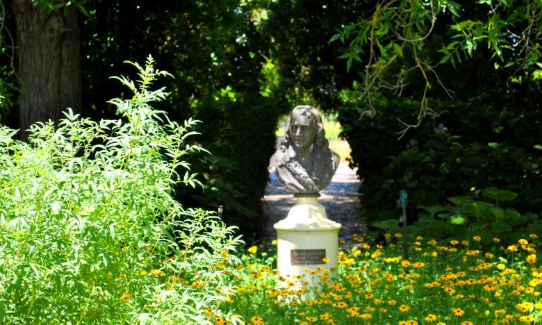 Free stock image of Green Garden created by Robert Priest