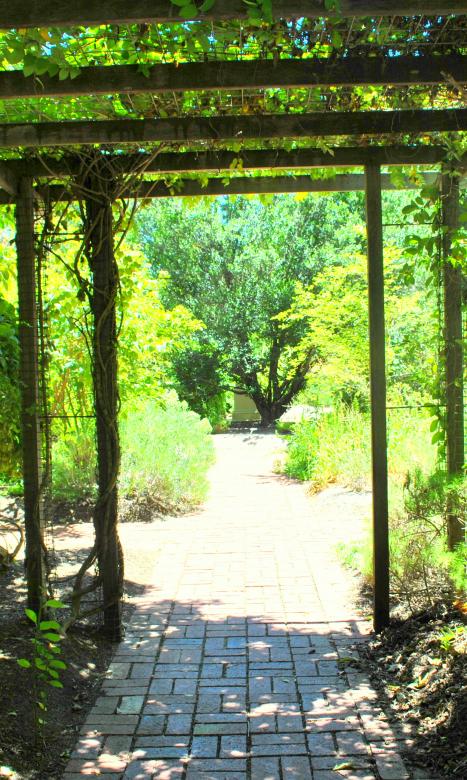 Free stock image of Green Garden created by Robert Priest