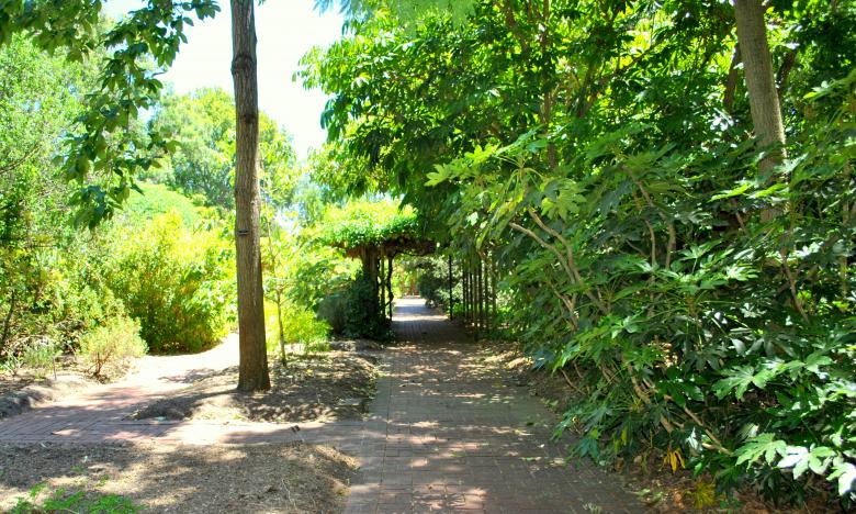 Free stock image of Green Garden created by Robert Priest