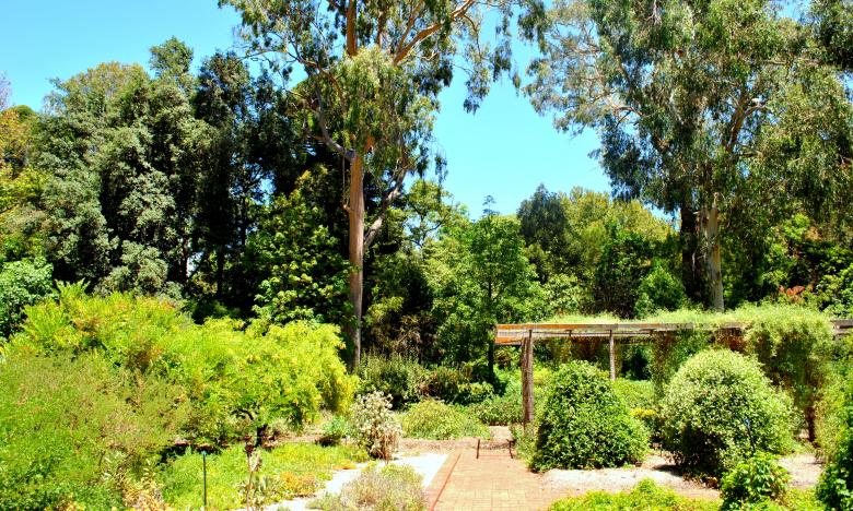 Free stock image of Green Garden created by Robert Priest