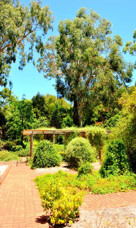 Free stock image of Green Garden created by Robert Priest