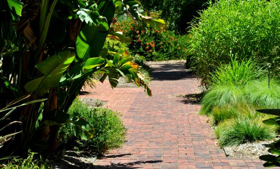 Free Stock Photo of Green Garden