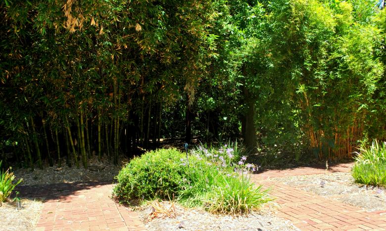 Free stock image of Green Garden created by Robert Priest