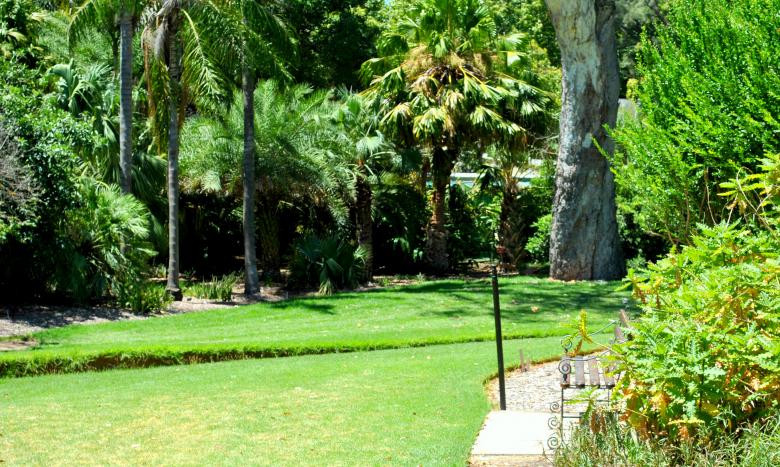 Free stock image of Green Plants created by Robert Priest