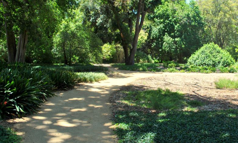 Free stock image of Green Garden created by Robert Priest
