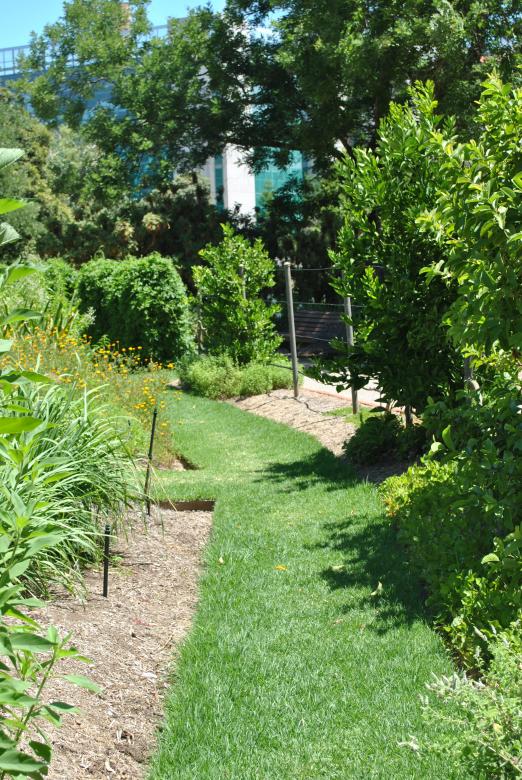 Free stock image of Green Garden created by Robert Priest