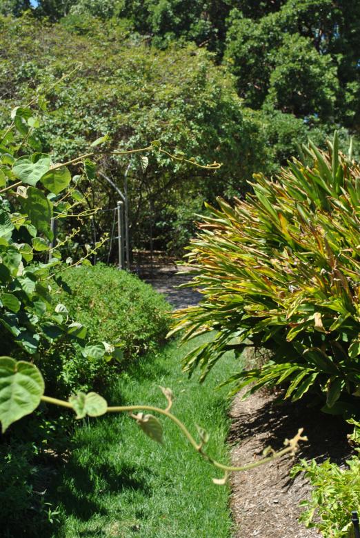 Free stock image of Green Garden created by Robert Priest