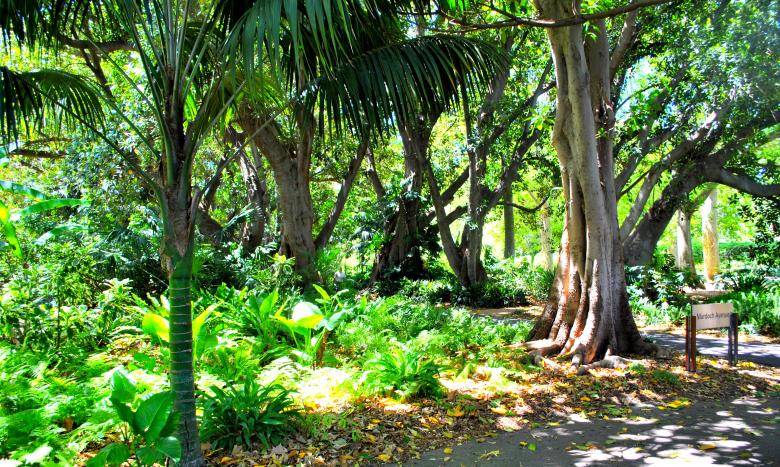 Free stock image of Green Garden created by Robert Priest