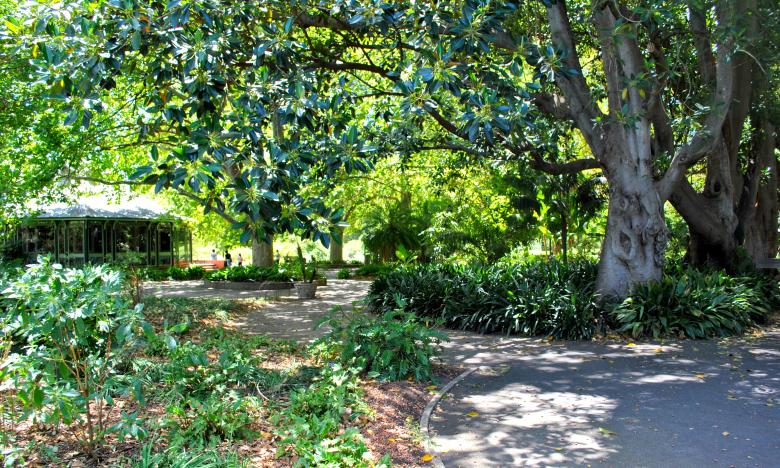 Free stock image of Green Garden created by Robert Priest