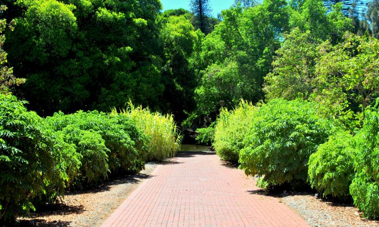 Free stock image of Green Garden created by Robert Priest
