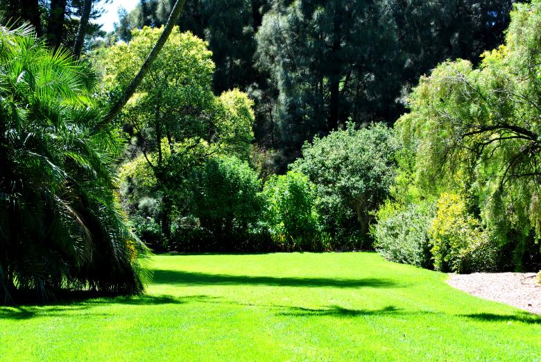Free stock image of Green Garden created by Robert Priest