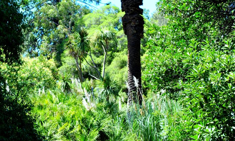 Free stock image of Green Garden created by Robert Priest