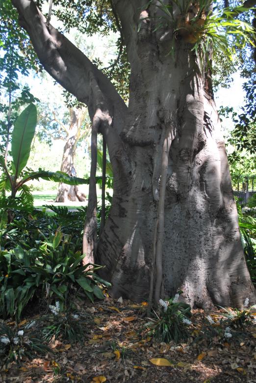 Free stock image of Green Garden created by Robert Priest