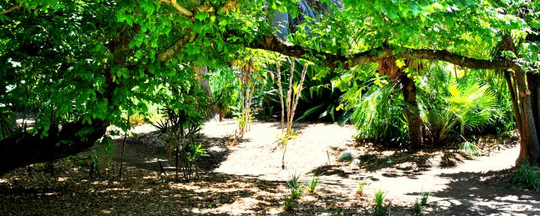 Free stock image of Green Garden created by Robert Priest
