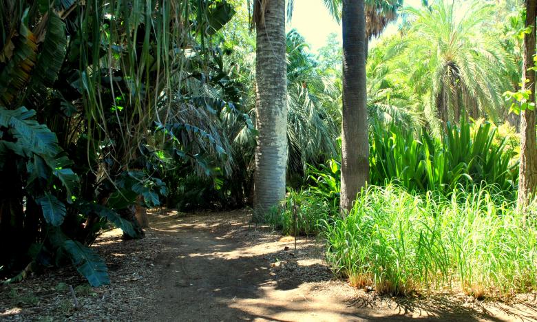 Free stock image of Green Garden created by Robert Priest